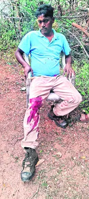 ప్రొటెక్షన్‌ వాచర్‌పై ఎలుగుబంటి దాడి 