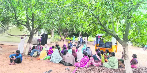 విద్య