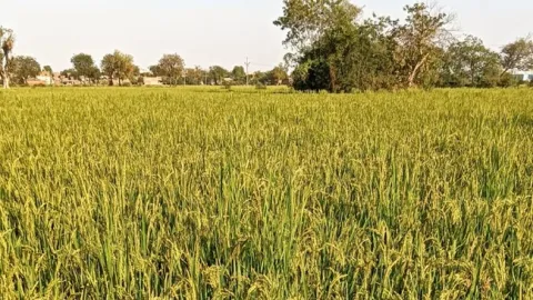 ఎకరానికి ఎంత భూమి.. 