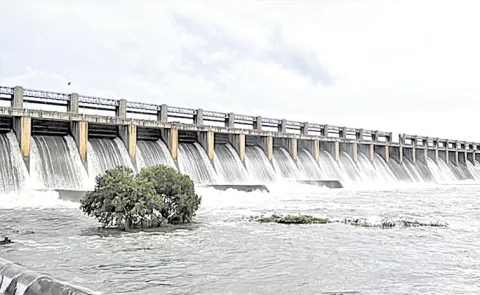 Krishnamma runs towards Nagarjuna Sagar