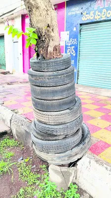 చెట్ట