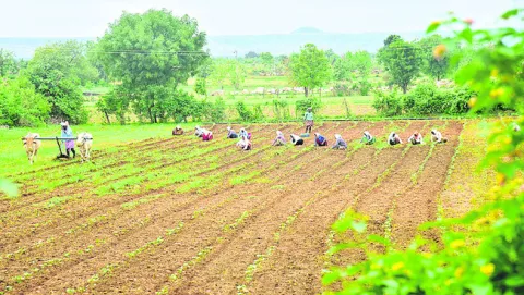 పంటల రుణపరిమితి పెంపు