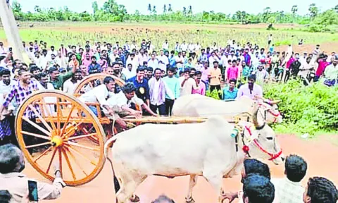 ఉత్సాహంగా జిల్లా స్థాయి ఎడ్ల పందేలు 