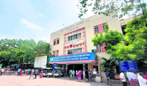 పెద్దాసుపత్రిపై ‘పచ్చ’ రాబందు!