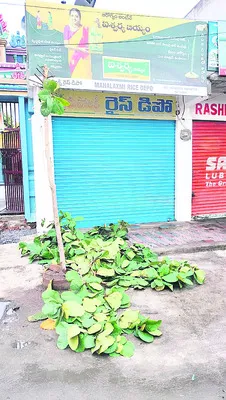 వీళ్ల