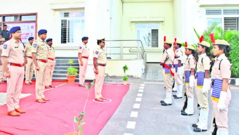 వృత్తి నైపుణ్యాన్ని పెంపొందించేందుకే.. 