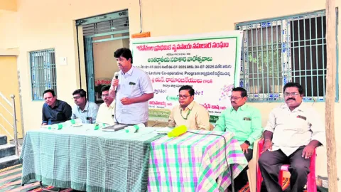 పెయ్య దూడల అభివృద్ధికి చర్యలు 
