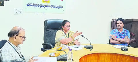 అల్లూ