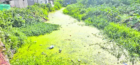వర్షా కాలం.. జరభద్రం 