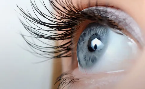 These Best Foods For Eye Health To Include In Your Diet