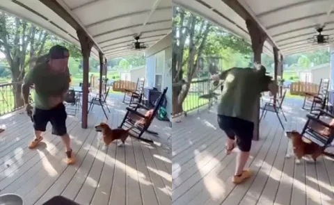 Squirrels outwitting homeowner funny video
