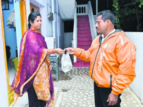తక్కువ పెట్టుబడితో ఏర్పాటు 