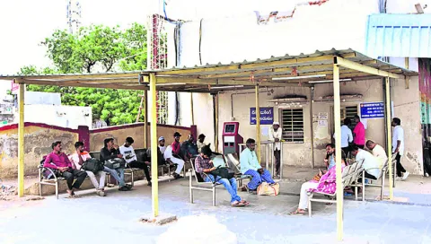 నత్తే