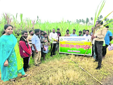 చెరకు ఉత్పత్తులను వృద్ధి చేయడమే లక్ష్యం 