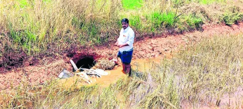 14 మండలాల్లో వర్షాలు  