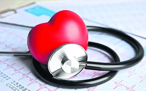మధుమే