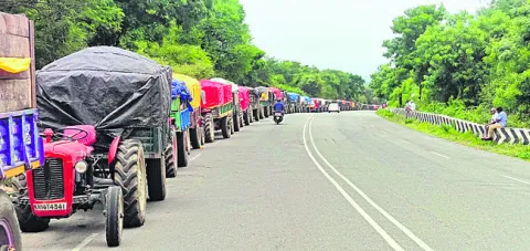 మామిడిని కొనుగోలు చేస్తాం 