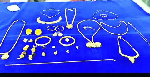 పనిమన