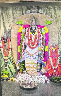 వైఎస్