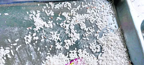 పురుగ