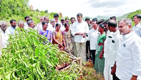 అమాయకుల జోలికెళ్తే ఊరుకోం 