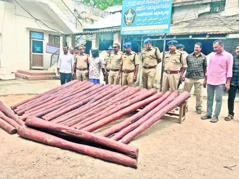 అంతర్‌ రాష్ట్ర ఎర్రచందనం స్మగ్లర్‌ అరెస్టు 
