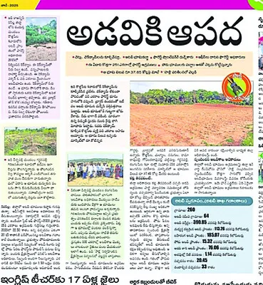 అటవీ భూముల్లో ప్లాంటేషన్‌కు ప్రణాళిక