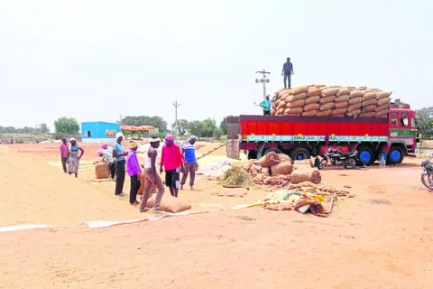ధాన్య