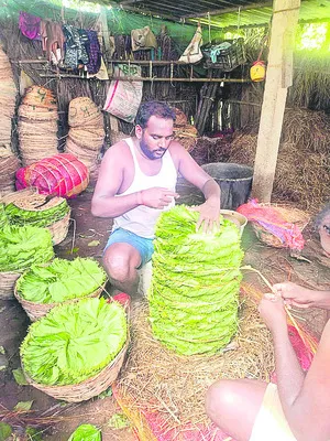 అభినందన సీమ