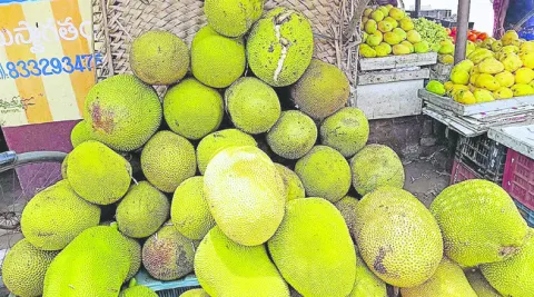 పనస.. ‘ఫల’ప్రదం
