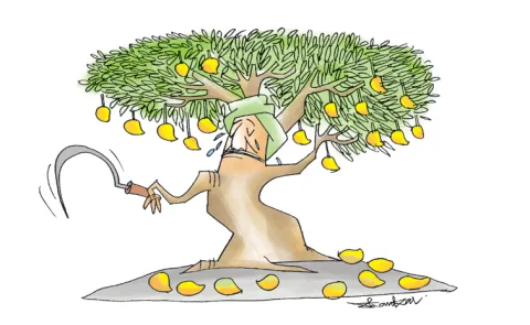 Sakshi Editorial On Chandrababu Govt Neglected Mango Farmers1