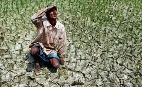 Lack Of Rains In Andhra pradesh