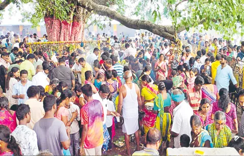 Devotees throng the Vellula Yellamma temple in Metpally mandal