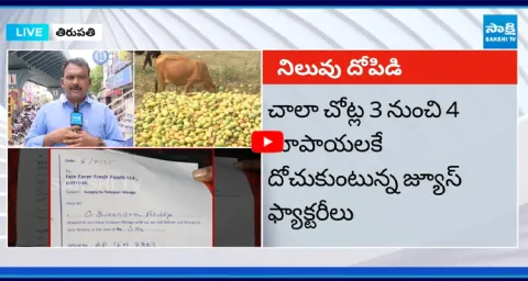 YS Jagan to Meet Mango Farmers in Chittoor  2