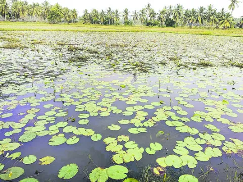నిండా