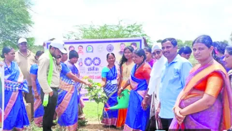 పచ్చద