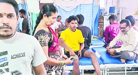 పిచ్చికుక్కల స్వైరవిహారం