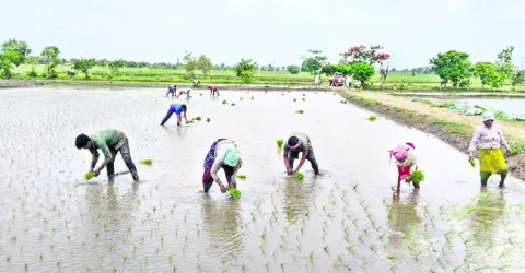 ఊపందు