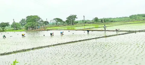 మడిలో