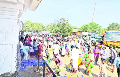 నేడు 