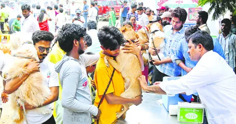 జంతువుల నుంచి మనుషులకు వ్యాధులు
