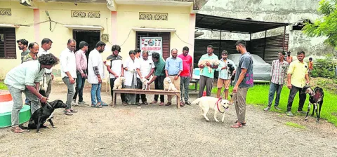 లఘుచి