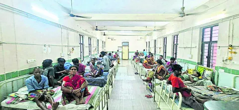 విలవి