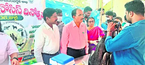 కూలిన
