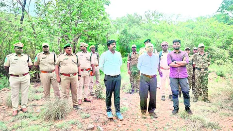 అడవులు, వన్యప్రాణుల అభివృద్ధికి చర్యలు 