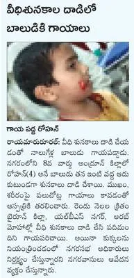 ప్రాణ