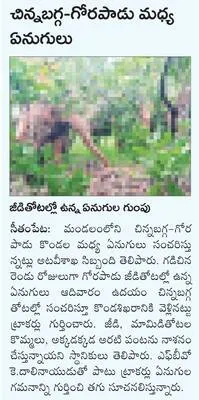 ఇంత ప