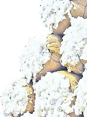 ఇక నూతన విధానం