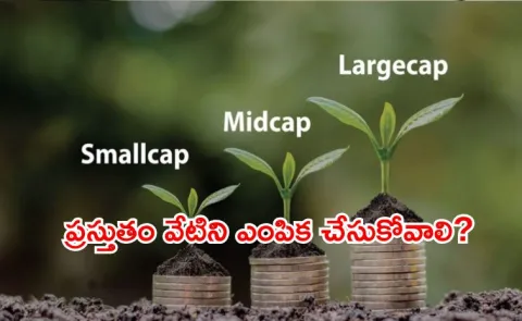 how large cap and small cap funds fits your risk appetite youth finance