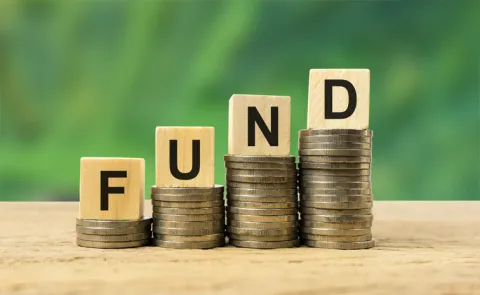 breakdown of the Quant Small Cap Fund growth potential